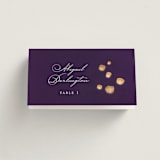 "Disney's Tangled Lanterns" - Place Cards in Twilight by Simona Camp - Folded with Free Guest Printing