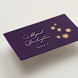 "Disney's Tangled Lanterns" - Place Cards in Twilight by Simona Camp - Detail