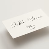 "Poem" - Place Cards in Snow by Maja Cunningham - Detail