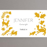 "Otomi" - Place Cards in Sunshine by Shari Margolin - Detail