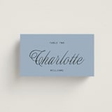 "Cheers" - Place Cards in Sky by Blustery August - Front