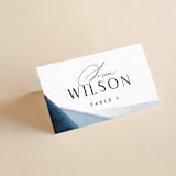 "Trio" - Place Cards in Ocean by Erin L. Wilson - Folded with Free Guest Printing