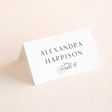 "Plaza" - Place Cards in Onyx by Lauren Chism - Folded with Free Guest Printing