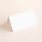 "Plaza" - Place Cards in Onyx by Lauren Chism - Blank front