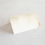 "Pastel Sky" - Place Cards in Moss by Hannah Williams - Folded Back of Card