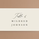 "Tilted Script" - Place Cards in Ivory by Hannah Williams - Detail