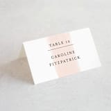 "Single Swath" - Place Cards in Blush by Angela Marzuki - Folded with Free Guest Printing