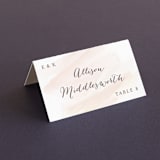 "Sophisticated script" - Place Cards in Blush by Hooray Creative - Folded with Free Guest Printing