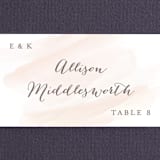 "Sophisticated script" - Place Cards in Blush by Hooray Creative - Detail