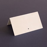 "Simply Perfect" - Place Cards in Blush by Brianne Larsen - Blank front