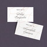 "Twirl Monogram B" - Place Cards in Blush by Ariel Rutland - Front with Free Guest Printing