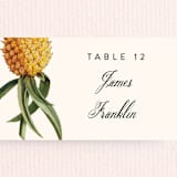 "Party in Paradise" - Place Cards in Pineapple by Erin Hodges - Detail