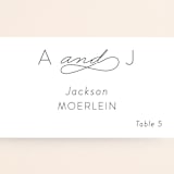 "Forever And" - Place Cards in Black Tie by Kim Dietrich Elam - Detail