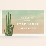"Postcard from the Desert" - Place Cards in Sunset by Pink House Press - Detail
