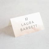 "Ethereal Bouquet" - Place Cards in Blush by Petra Kern - Folded with Free Guest Printing