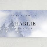 "Misty trees" - Place Cards in Frost by Stacey Meacham - Detail