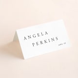 "The Minimalist" - Place Cards in Air by lulu and isabelle - Folded with Free Guest Printing