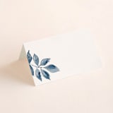 "Southern Comfort" - Place Cards in French Blue by Chris Griffith - Blank front