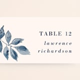"Southern Comfort" - Place Cards in French Blue by Chris Griffith - Detail