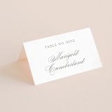 "All About That Type" - Place Cards in Sage by Rebecca Daublin - Folded with Free Guest Printing