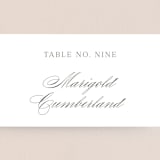 "All About That Type" - Place Cards in Sage by Rebecca Daublin - Detail