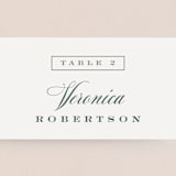 "Roman Shade" - Place Cards in Evergreen by Carrie ONeal - Detail