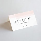 "Transparent" - Place Cards in Magnolia by Erin Deegan - Folded with Free Guest Printing