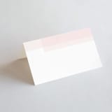 "Transparent" - Place Cards in Magnolia by Erin Deegan - Blank front
