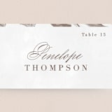 "Sonesta" - Place Cards in Mineral by Hooray Creative - Detail