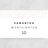 "Textured Dots" - Place Cards in Blush by Emily Sabol Goss - Detail