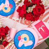 "Zodiac Aries Dinner Plates - Set of 8" - Party Plates and Bowls in red by Jollity and Co