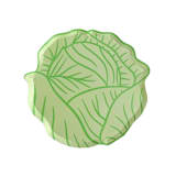 "Bunnies In The Garden Cabbage Large Plates - Set of 8" - Party Plates and Bowls in green by Jollity and Co