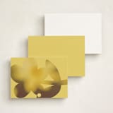 "Bloom" - Personalized Stationery Cards in Caribbean Citrus by Morgan Kendall - Back of Card Options