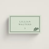 "Perry" - Place Cards - Vegetarian in Mint by Megan Davis - Front with Free Guest Printing