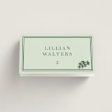 "Perry" - Place Cards - Vegetarian in Mint by Megan Davis - Folded with Free Guest Printing