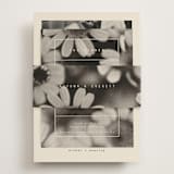 "Nonnette" - Rehearsal Dinner Cards in Vanilla by Blustery August - Assembled with Belly Band