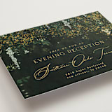 "New Orleans from Disney's Princess and The Frog" - Reception Cards in Mystic by Phrosné Barwood - Detail