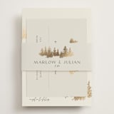 "Vista" - Foil-Pressed RSVP Online Enclosure Cards in Fallen Snow by Robin Ott - Assembled with Belly Band
