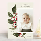 "Branch of Peace" - Retired Holiday Cards in Evergreen by Chris Griffith - Front