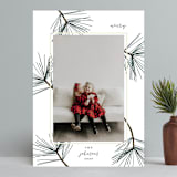 "pine needle merry" - Retired Holiday Cards in Pine by Mango Ink - Front