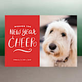 "A Little Naughty" - Retired Holiday Cards in Candy Cane by Kelly Nasuta - Front