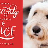 "A Little Naughty" - Retired Holiday Cards in Candy Cane by Kelly Nasuta - Close-Up
