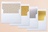 "Glorious" - Retired Holiday Cards in Snowflake by My Splendid Summer - Slip-In Envelope Liners
