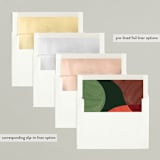 "Colorful Wonders" - Retired Holiday Cards in Wreath by Pixel and Hank - Slip-In Envelope Liners
