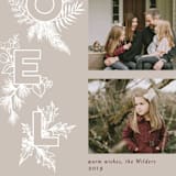 "Botanical Noel" - Retired Holiday Cards in Taupe by Ink Moth Creative - Close-Up