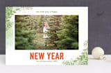 "Winter Sketchbook" - Retired Holiday Cards in Frosty Fern by Lorent and Leif - Front