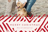 "Brushstroke Frame" - Retired Holiday Cards in Berry by Katharine Watson - Close-Up