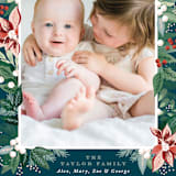 "Poinsettia Pine Frame" - Retired Holiday Cards in Teal by Alethea and Ruth - Close-Up