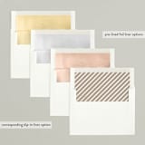 "Dusted" - Retired Holiday Cards in Snowfall by Michelle Taylor - Slip-In Envelope Liners