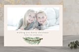 "Red Pine Branch" - Retired Holiday Cards in Ivory by Katharine Watson - Front